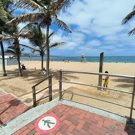 Canteras Canary *