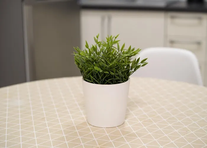 Canteras Canary Apartamento